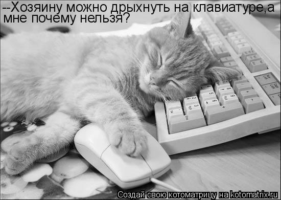 Котоматрица: --Хозяину можно дрыхнуть на клавиатуре,а мне почему нельзя?