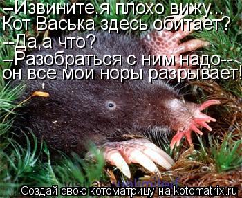 Котоматрица: --Извините,я плохо вижу... Кот Васька здесь обитает? --Да,а что? --Разобраться с ним надо-- он все мои норы разрывает!