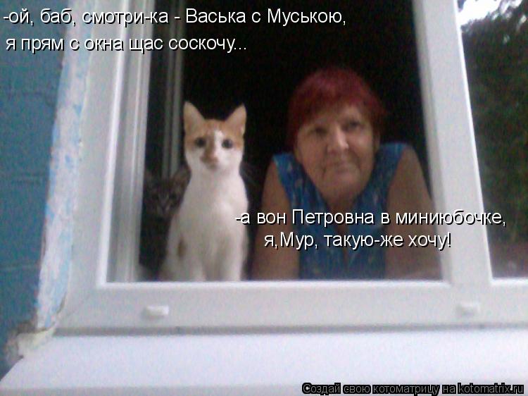 Котоматрица: я прям с окна щас соскочу... -а вон Петровна в миниюбочке, я,Мур, такую-же хочу! -ой, баб, смотри-ка - Васька с Муською,