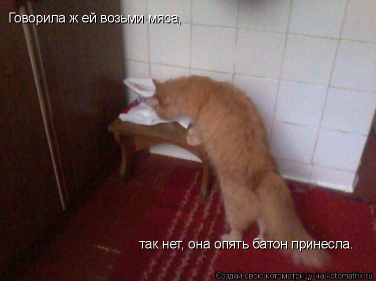Котоматрица: Говорила ж ей возьми мяса, так нет, она опять батон принесла.