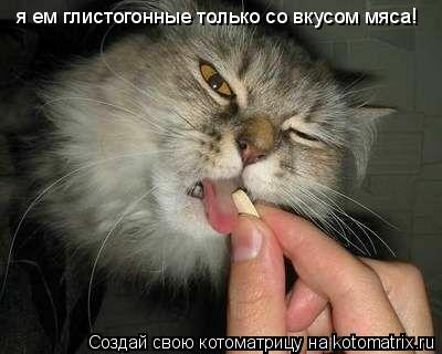 Котоматрица: я ем глистогонные только со вкусом мяса!