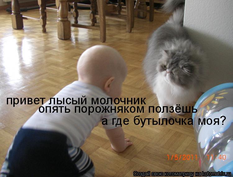 Котоматрица: привет лысый молочник опять порожняком ползёшь а где бутылочка моя?