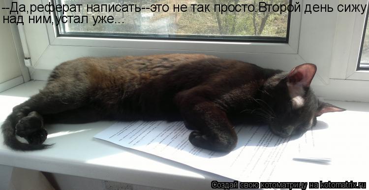Котоматрица: --Да,реферат написать--это не так просто.Второй день сижу над ним,устал уже...