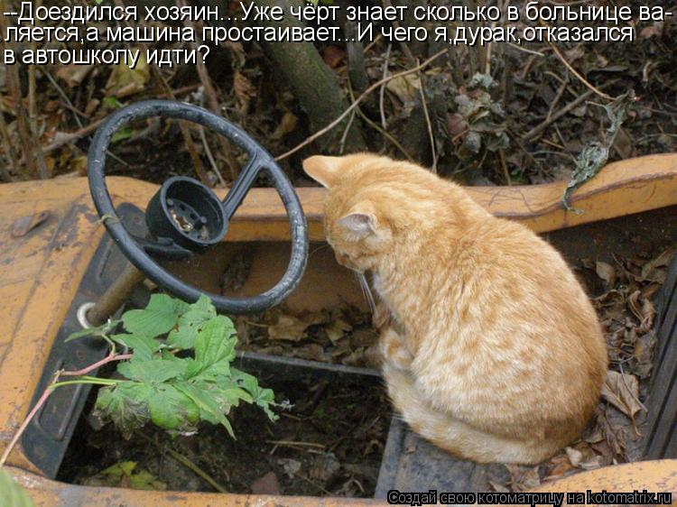 --Доездился хозяин...Уже чёрт знает сколько в больнице ва- ляется,а машина простаивает...И чего я,дур... Котоматрица: --Доездился хозяин...Уже чёрт знает сколько в больнице ва- ляется,а машина простаивает...И чего я,дурак,отказался в автошколу идти?