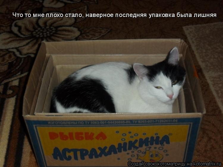 Что то мне плохо стало, наверное последняя упаковка была лишняя... Котоматрица: Что то мне плохо стало, наверное последняя упаковка была лишняя