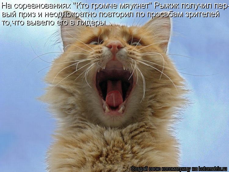 На соревнованиях "Кто громче мяукнет" Рыжик получил пер- вый приз и неоднократно повторил по просьбам... Котоматрица: На соревнованиях "Кто громче мяукнет" Рыжик получил пер- вый приз и неоднократно повторил по просьбам зрителей то,что вывело его в лидеры...