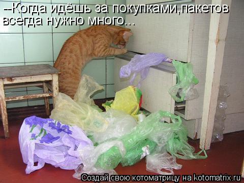 --Когда идёшь за покупками,пакетов всегда нужно много...... Котоматрица: --Когда идёшь за покупками,пакетов всегда нужно много...