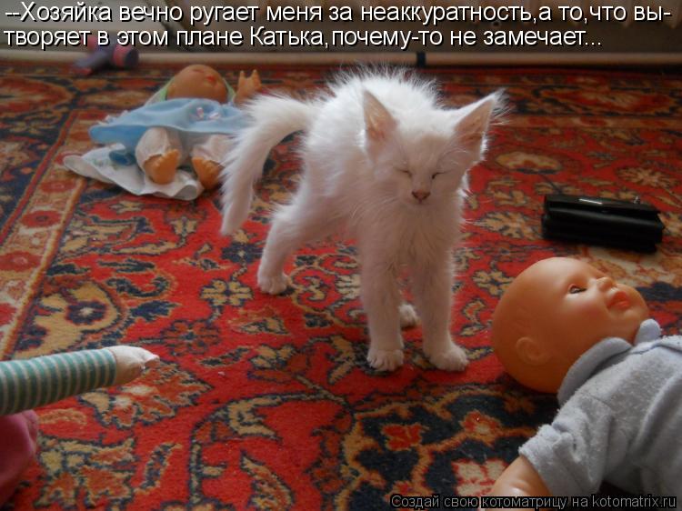 --Хозяйка вечно ругает меня за неаккуратность,а то,что вы- творяет в этом плане Катька,почему-то не з... Котоматрица: --Хозяйка вечно ругает меня за неаккуратность,а то,что вы- творяет в этом плане Катька,почему-то не замечает...