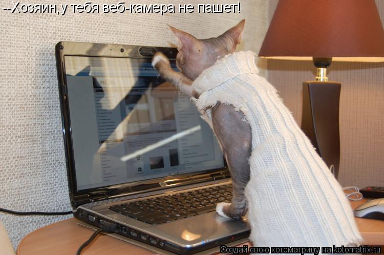 --Хозяин,у тебя веб-камера не пашет!... Котоматрица: --Хозяин,у тебя веб-камера не пашет!