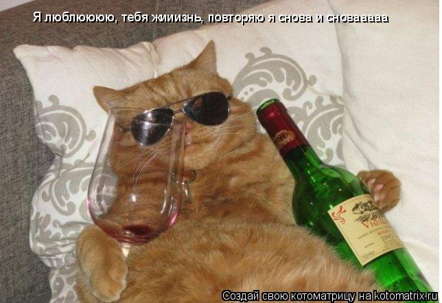 Я люблюююю, тебя жииизнь, повторяю я снова и сновааааа... Котоматрица: Я люблюююю, тебя жииизнь, повторяю я снова и сновааааа