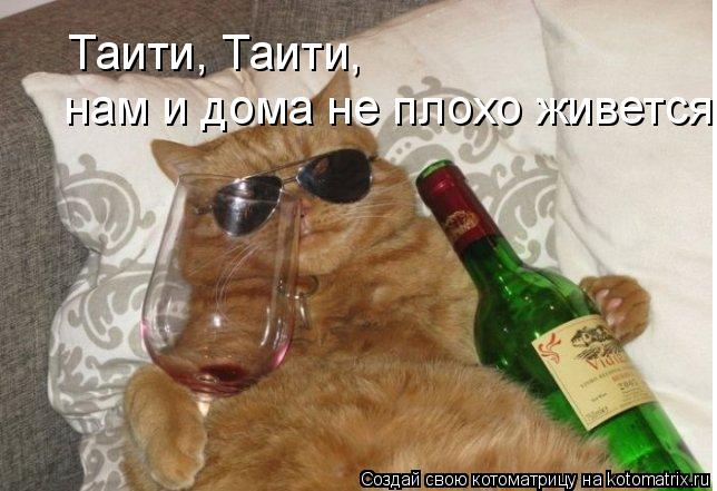 Таити, Таити, нам и дома не плохо живется... Котоматрица: Таити, Таити, нам и дома не плохо живется