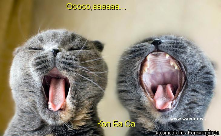 Ооооо,аааааа... Кол Ба Са... Котоматрица: Ооооо,аааааа... Кол Ба Са