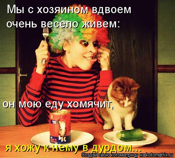 Котоматрица: Мы с хозяином вдвоем очень весело живем: он мою еду хомячит,  я хожу к нему в дурдом...