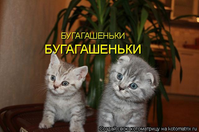 Котоматрица: БУГАГАШЕНЬКИ БУГАГАШЕНЬКИ