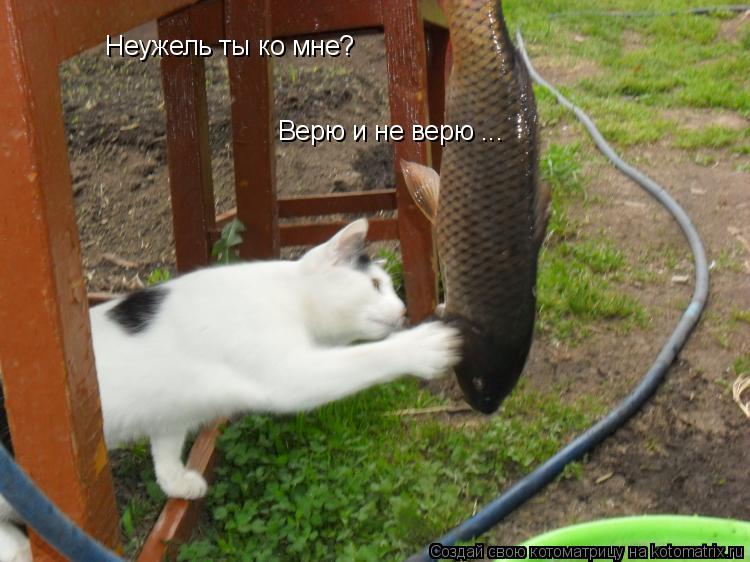 Ну что же сделать как тебя Ну что же сделать как тебя
