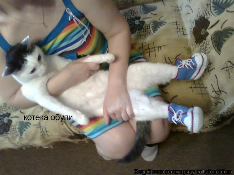 Котоматрица: котека обули