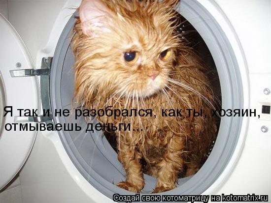 Котоматрица: Я так и не разобрался, как ты, хозяин, отмываешь деньги...