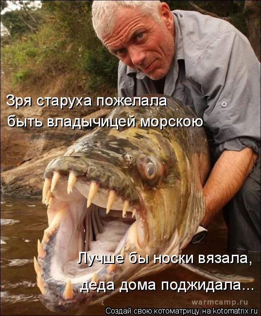 Зря старуха пожелала быть владычицей морскою Лучше бы носки вязала, деда дома поджидала...... Котоматрица: Зря старуха пожелала быть владычицей морскою Лучше бы носки вязала, деда дома поджидала...
