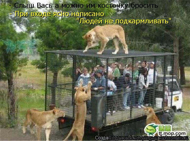 Котоматрица: - При входе ясно написано  "Людей не подкармливать" - Слыш Вась а можно им косточку бросить