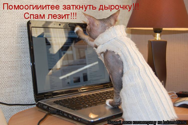 Помоогииитее заткнуть дырочку!!! Спам лезит!!!... Котоматрица: Помоогииитее заткнуть дырочку!!! Спам лезит!!!