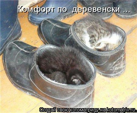 Котоматрица: Комфорт по  деревенски ...