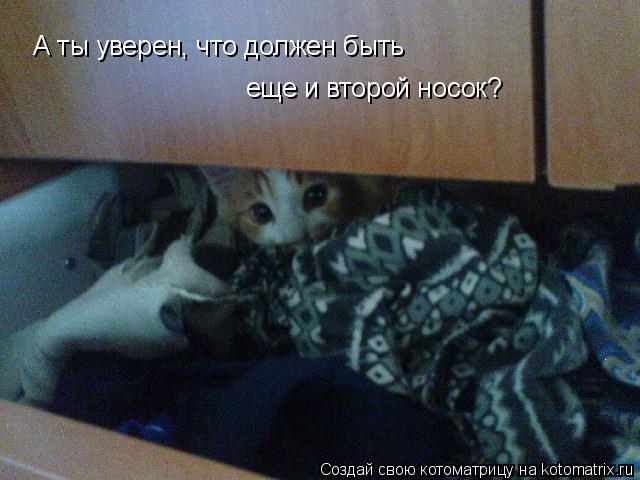 А ты уверен, что должен быть еще и второй носок?... Котоматрица: А ты уверен, что должен быть еще и второй носок?