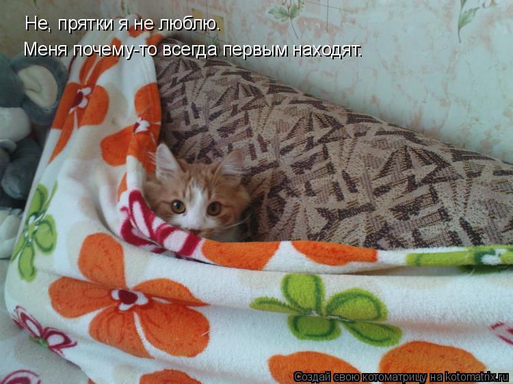 Не, прятки я не люблю. Меня почему-то всегда первым находят.... Котоматрица: Не, прятки я не люблю. Меня почему-то всегда первым находят.