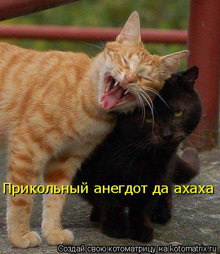 Прикольный анегдот да ахаха... Котоматрица: Прикольный анегдот да ахаха