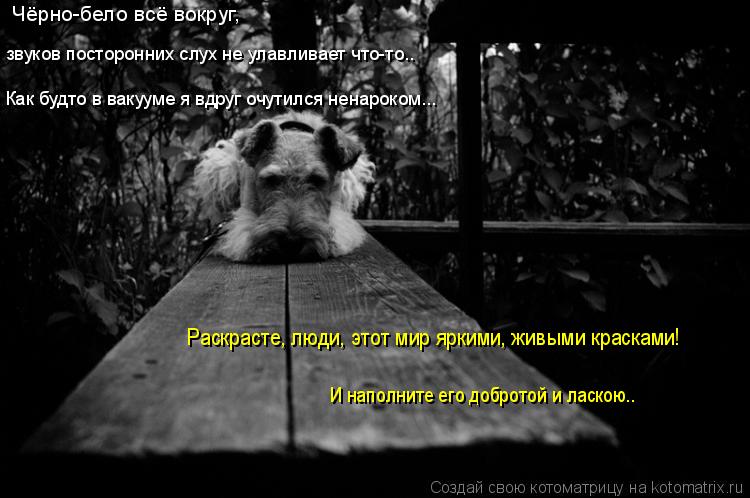 Чёрно-бело всё вокруг, звуков посторонних слух не улавливает что-то.. Как будто в вакууме я вдруг очу... Котоматрица: Чёрно-бело всё вокруг, звуков посторонних слух не улавливает что-то.. Как будто в вакууме я вдруг очутился ненароком... Раскрасте, люди, этот