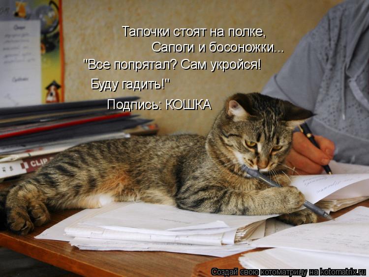 Тапочки стоят на полке, Сапоги и босоножки... "Все попрятал? Сам укройся! Буду гадить!" Подпись: КОШ... Котоматрица: Тапочки стоят на полке, Сапоги и босоножки... "Все попрятал? Сам укройся! Буду гадить!" Подпись: КОШКА