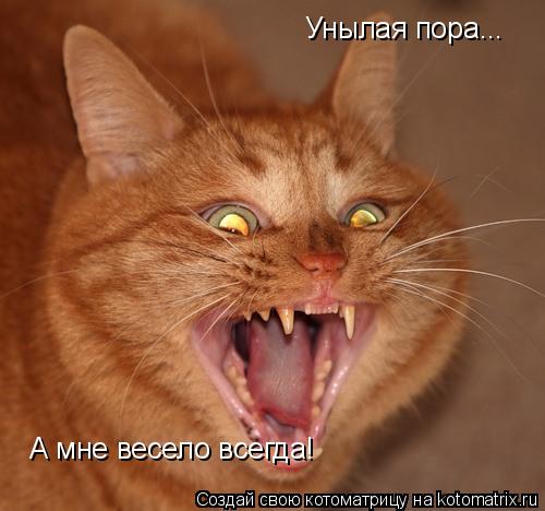 Котоматрица: Унылая пора... А мне весело всегда!