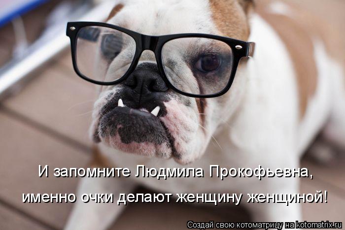 Котоматрица: И запомните Людмила Прокофьевна, именно очки делают женщину женщиной!