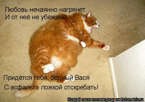 Котоматрица: Любовь нечаянно нагрянет И от неё не убежать! С асфальта ложкой отскребать! Придётся тебя, бедный Вася