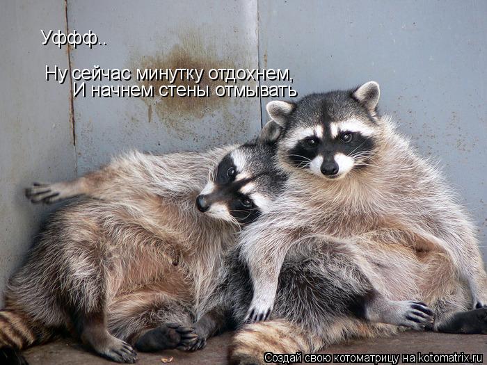Уффф.. Ну сейчас минутку отдохнем, И начнем стены отмывать... Котоматрица: Уффф.. Ну сейчас минутку отдохнем, И начнем стены отмывать
