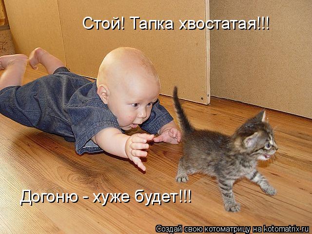 Стой! Тапка хвостатая!!! Догоню - хуже будет!!!... Котоматрица: Стой! Тапка хвостатая!!! Догоню - хуже будет!!!