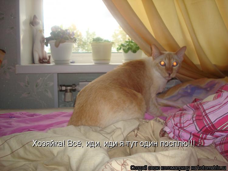 Хозяйка! Всё, иди, иди я тут один посплю!!!... Котоматрица: Хозяйка! Всё, иди, иди я тут один посплю!!!