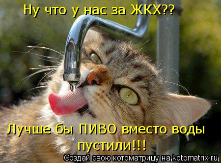 Ну что у нас за ЖКХ?? Лучше бы ПИВО вместо воды пустили!!!... Котоматрица: Ну что у нас за ЖКХ?? Лучше бы ПИВО вместо воды пустили!!!