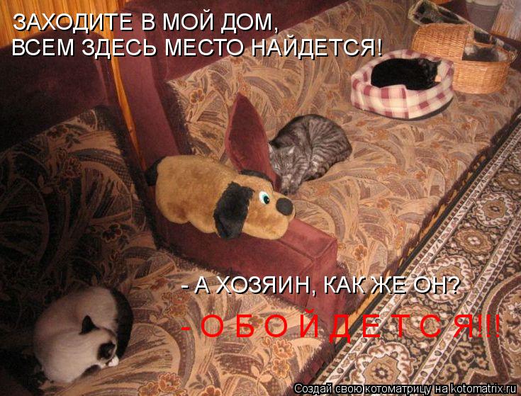 Котоматрица: ЗАХОДИТЕ В МОЙ ДОМ, ВСЕМ ЗДЕСЬ МЕСТО НАЙДЕТСЯ! - А ХОЗЯИН, КАК ЖЕ ОН? - О Б О Й Д Е Т С Я!!!