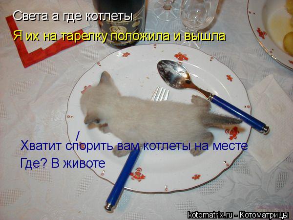 Котоматрица: Света а где котлеты Я их на тарелку положила и вышла / Хватит спорить вам котлеты на месте Где? В животе