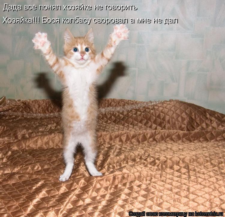 Котоматрица: Дада всё понял хозяйке не говорить Хозяйка!!! Бося колбасу своровал а мне не дал