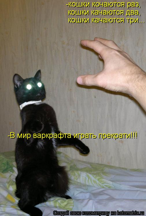 -кошки кочаются раз, кошки качаются два, кошки качаются три... -В мир варкрафта играть прекрати!!!... Котоматрица: -кошки кочаются раз, кошки качаются два, кошки качаются три... -В мир варкрафта играть прекрати!!!