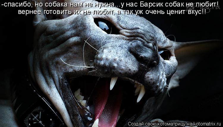 -спасибо, но собака нам не нужна...у нас Барсик собак не любит! вернее готовить их не любит, а так уж... Котоматрица: -спасибо, но собака нам не нужна...у нас Барсик собак не любит! вернее готовить их не любит, а так уж очень ценит вкус!!