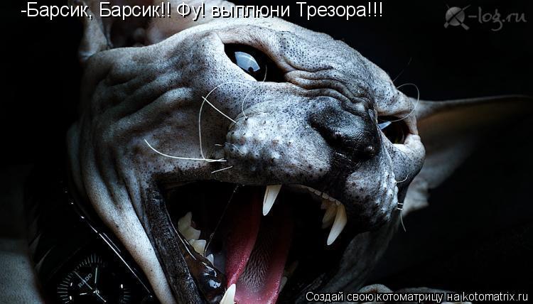 -Барсик, Барсик!! Фу! выплюни Трезора!!!... Котоматрица: -Барсик, Барсик!! Фу! выплюни Трезора!!!