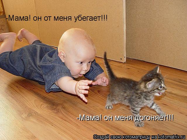 Котоматрица: -Мама! он меня догоняет!!! -Мама! он от меня убегает!!!