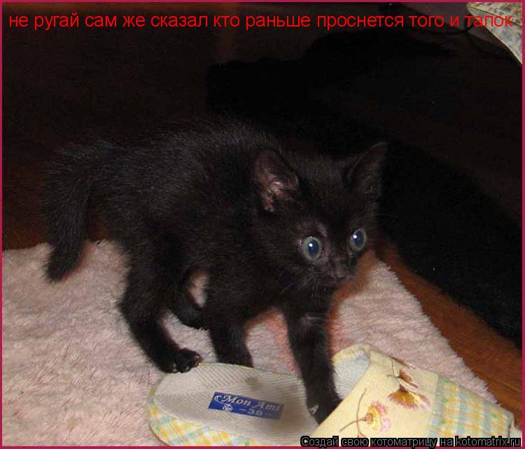 не ругай сам же сказал кто раньше проснется того и тапок... Котоматрица: не ругай сам же сказал кто раньше проснется того и тапок