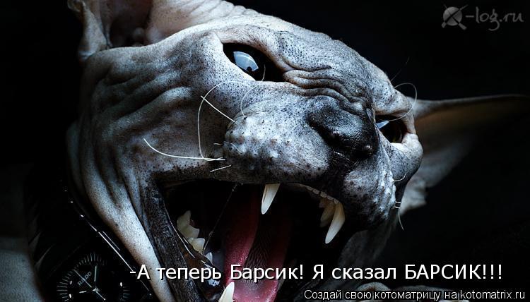 -А теперь Барсик! Я сказал БАРСИК!!!... Котоматрица: -А теперь Барсик! Я сказал БАРСИК!!!