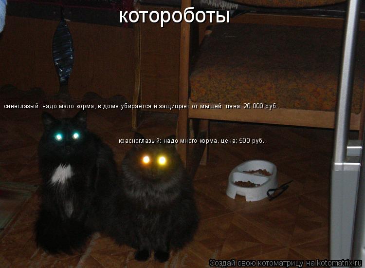 котороботы синеглазый: надо мало корма, в доме убирается и защищает от мышей. цена: 20 000 руб.. крас... Котоматрица: котороботы синеглазый: надо мало корма, в доме убирается и защищает от мышей. цена: 20 000 руб.. красноглазый: надо много корма. цена: 500 руб..