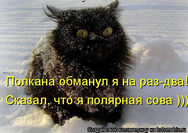 Котоматрица: Полкана обманул я на раз-два! Сказал, что я полярная сова )))