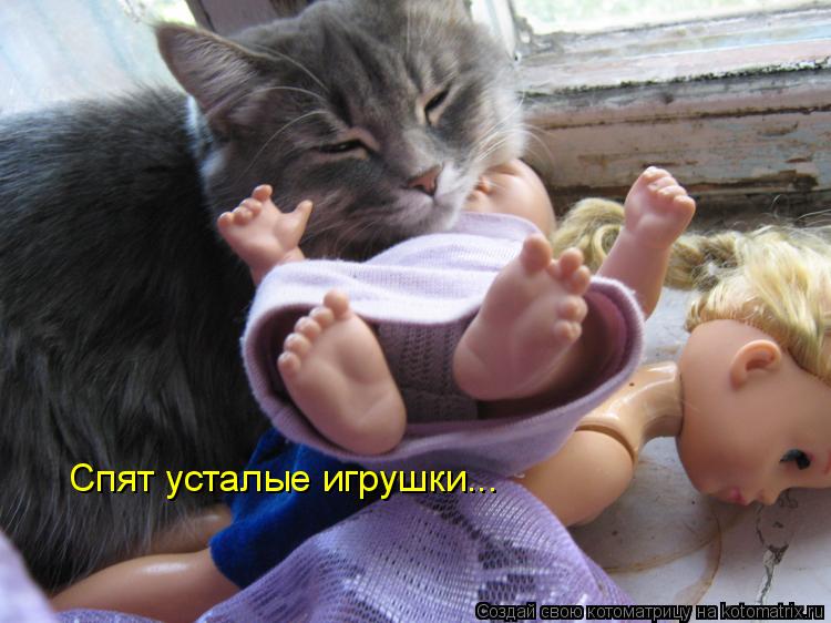 Котоматрица: Спят усталые игрушки...