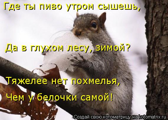 Открытка с похмельем тебя Открытка с похмельем тебя